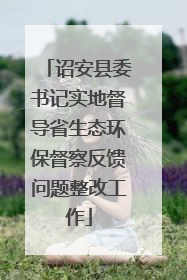 诏安县委书记实地督导省生态环保督察反馈问题整改工作