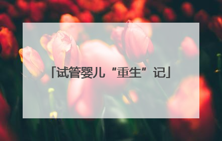 试管婴儿“重生”记