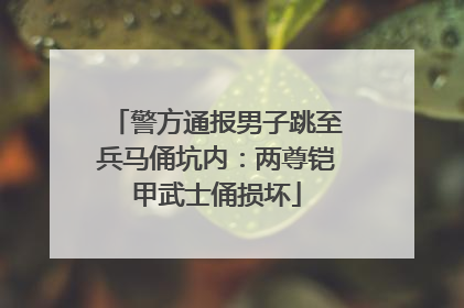 警方通报男子跳至兵马俑坑内：两尊铠甲武士俑损坏