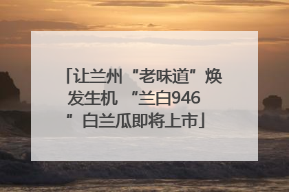 让兰州“老味道”焕发生机 “兰白946”白兰瓜即将上市