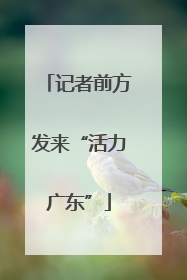 记者前方发来“活力广东”