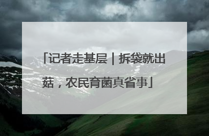 记者走基层｜拆袋就出菇，农民育菌真省事