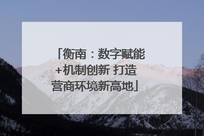 衡南：数字赋能+机制创新 打造营商环境新高地