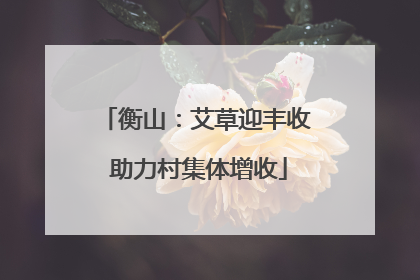 衡山：艾草迎丰收 助力村集体增收