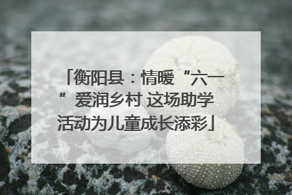 衡阳县：情暖“六一”爱润乡村 这场助学活动为儿童成长添彩