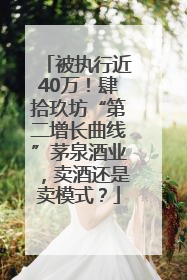 被执行近40万！肆拾玖坊“第二增长曲线”茅泉酒业，卖酒还是卖模式？