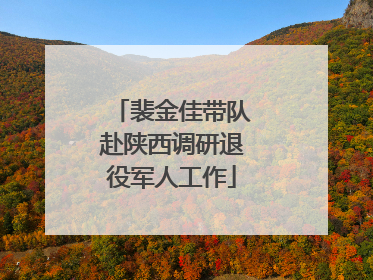 裴金佳带队赴陕西调研退役军人工作