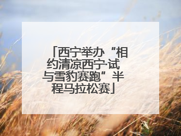 西宁举办“相约清凉西宁·试与雪豹赛跑”半程马拉松赛