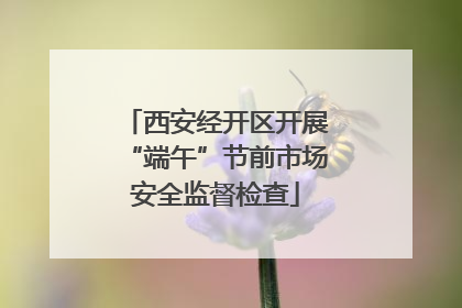 西安经开区开展“端午”节前市场安全监督检查