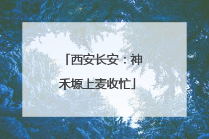西安长安：神禾塬上麦收忙