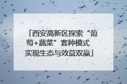 西安高新区探索“葡萄+蔬菜”套种模式 实现生态与效益双赢