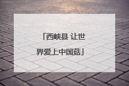 西峡县 让世界爱上中国菇