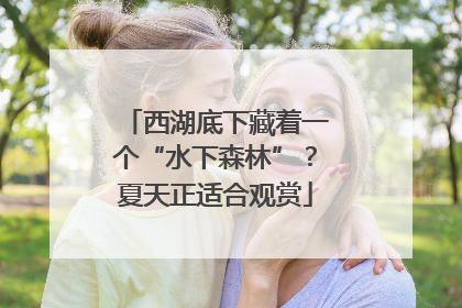西湖底下藏着一个“水下森林”？夏天正适合观赏