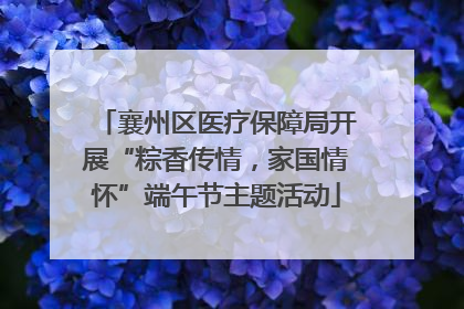 襄州区医疗保障局开展“粽香传情，家国情怀”端午节主题活动