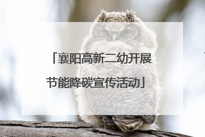 襄阳高新二幼开展节能降碳宣传活动