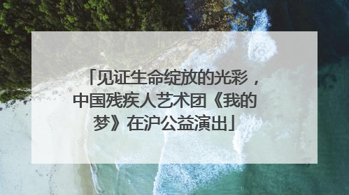 见证生命绽放的光彩，中国残疾人艺术团《我的梦》在沪公益演出