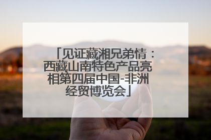 见证藏湘兄弟情：西藏山南特色产品亮相第四届中国-非洲经贸博览会