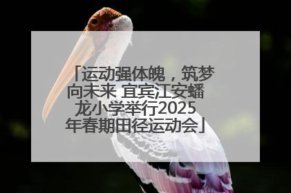 运动强体魄，筑梦向未来 宜宾江安蟠龙小学举行2025年春期田径运动会
