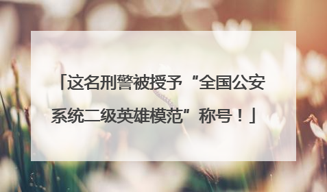 这名刑警被授予“全国公安系统二级英雄模范”称号！