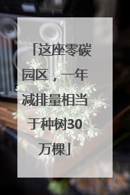 这座零碳园区，一年减排量相当于种树30万棵
