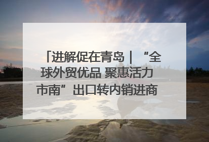 进解促在青岛｜“全球外贸优品 聚惠活力市南”出口转内销进商超专场活动启动