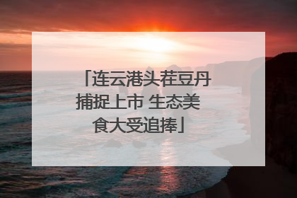 连云港头茬豆丹捕捉上市 生态美食大受追捧
