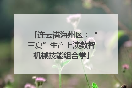 连云港海州区：“三夏”生产上演数智机械技能组合拳