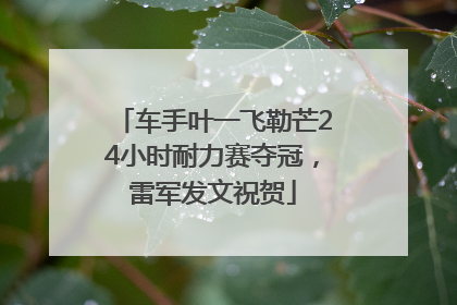 车手叶一飞勒芒24小时耐力赛夺冠，雷军发文祝贺