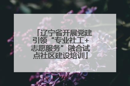 辽宁省开展党建引领“专业社工+志愿服务”融合试点社区建设培训