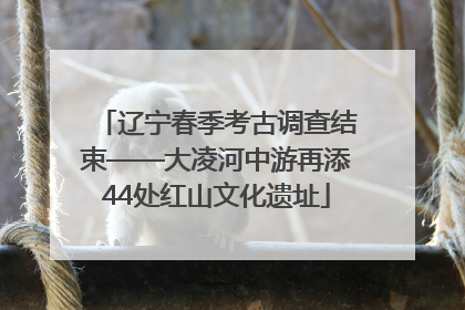 辽宁春季考古调查结束——大凌河中游再添44处红山文化遗址