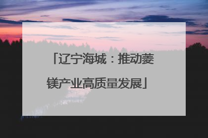 辽宁海城：推动菱镁产业高质量发展