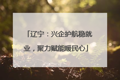 辽宁：兴企护航稳就业，聚力赋能暖民心