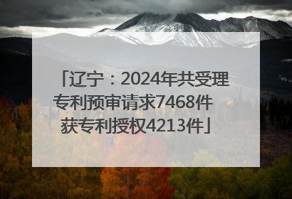 辽宁：2024年共受理专利预审请求7468件 获专利授权4213件