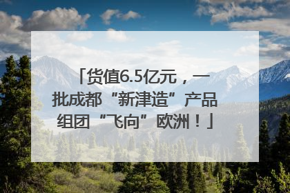 货值6.5亿元，一批成都“新津造”产品组团“飞向”欧洲！