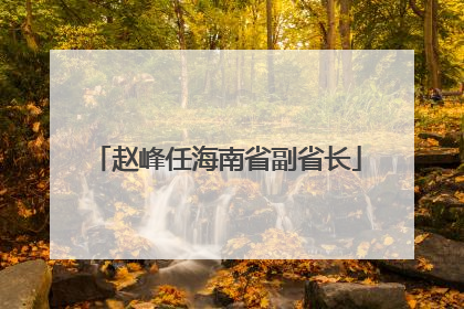赵峰任海南省副省长
