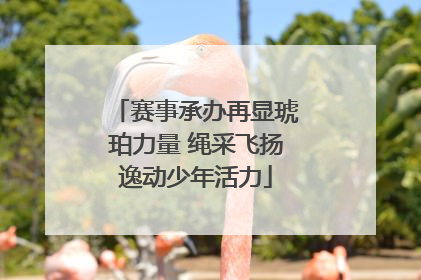 赛事承办再显琥珀力量 绳采飞扬逸动少年活力