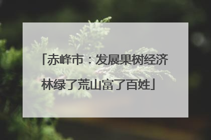 赤峰市：发展果树经济林绿了荒山富了百姓