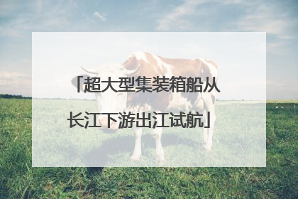 超大型集装箱船从长江下游出江试航