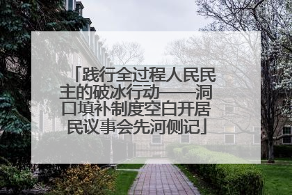 践行全过程人民民主的破冰行动——洞口填补制度空白开居民议事会先河侧记