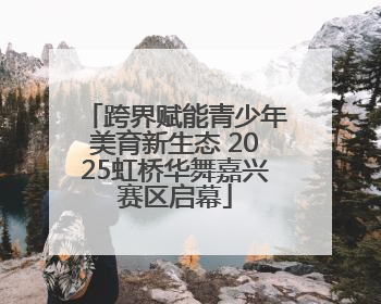 跨界赋能青少年美育新生态 2025虹桥华舞嘉兴赛区启幕