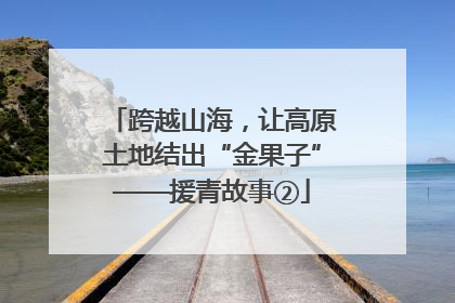 跨越山海，让高原土地结出“金果子”——援青故事②