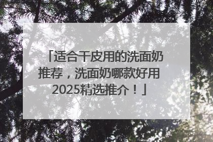 适合干皮用的洗面奶推荐，洗面奶哪款好用2025精选推介！