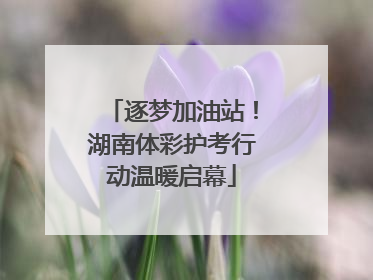 逐梦加油站！湖南体彩护考行动温暖启幕
