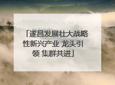 遂昌发展壮大战略性新兴产业 龙头引领 集群共进