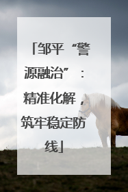 邹平“警源融治”：精准化解，筑牢稳定防线