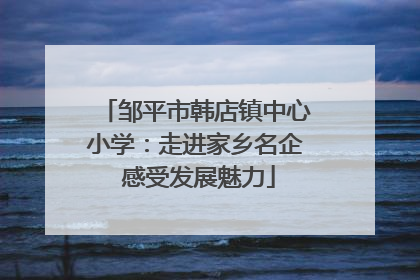 邹平市韩店镇中心小学：走进家乡名企 感受发展魅力