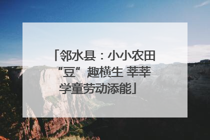邻水县：小小农田“豆”趣横生 莘莘学童劳动添能