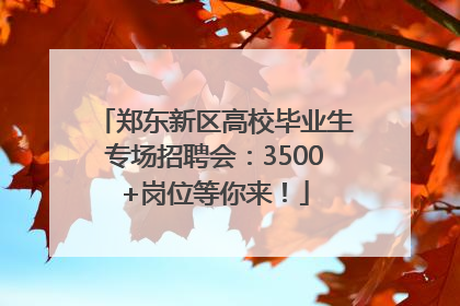 郑东新区高校毕业生专场招聘会：3500+岗位等你来！