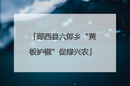郧西县六郎乡“黄板护椒”促绿兴农