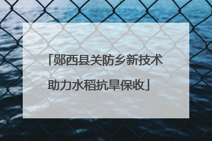 郧西县关防乡新技术助力水稻抗旱保收